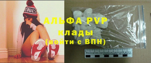 шишки Беломорск