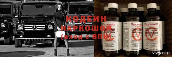 ГАЛЛЮЦИНОГЕННЫЕ ГРИБЫ Белокуриха