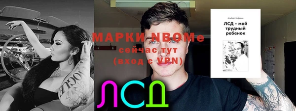 ГАЛЛЮЦИНОГЕННЫЕ ГРИБЫ Белокуриха