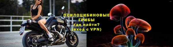 ГАЛЛЮЦИНОГЕННЫЕ ГРИБЫ Белокуриха