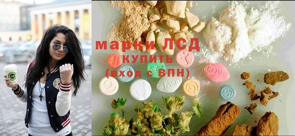 шишки Беломорск