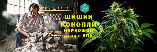 ГАЛЛЮЦИНОГЕННЫЕ ГРИБЫ Белокуриха