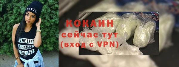 шишки Беломорск